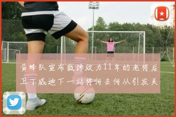 黄蜂队宣布裁掉效力11年的老将后卫丁威迪下一站将何去何从引发关注
